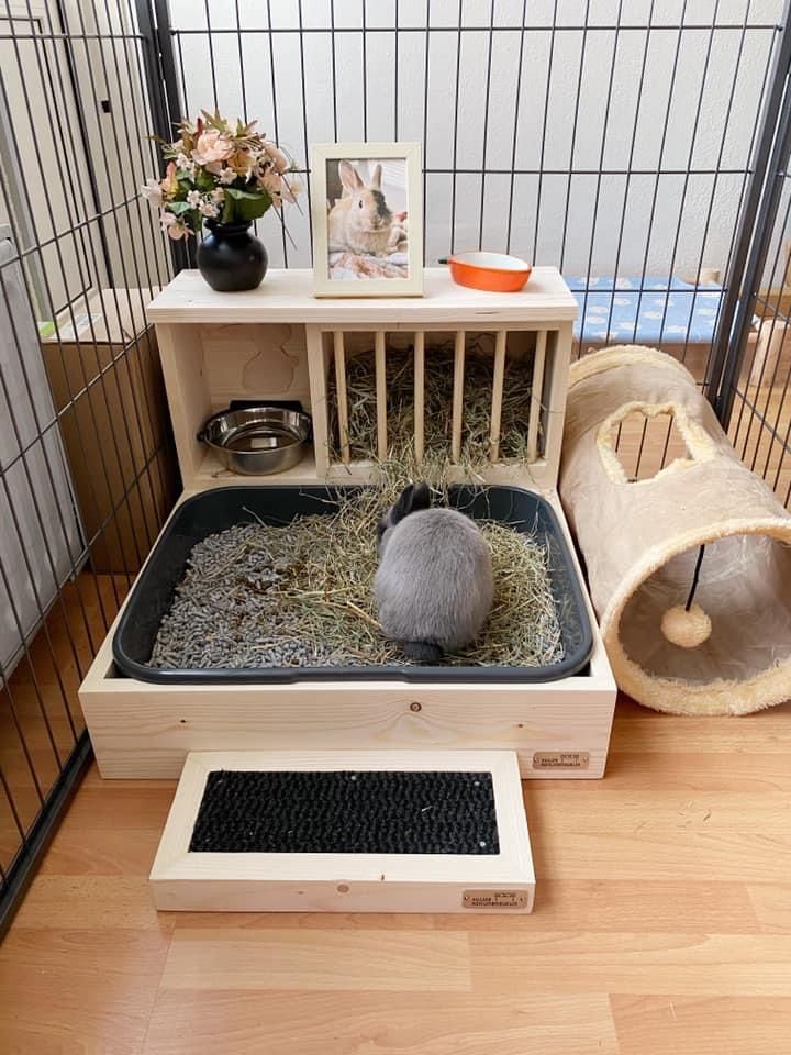 a caged in area with two small animals and one cat sitting on the floor