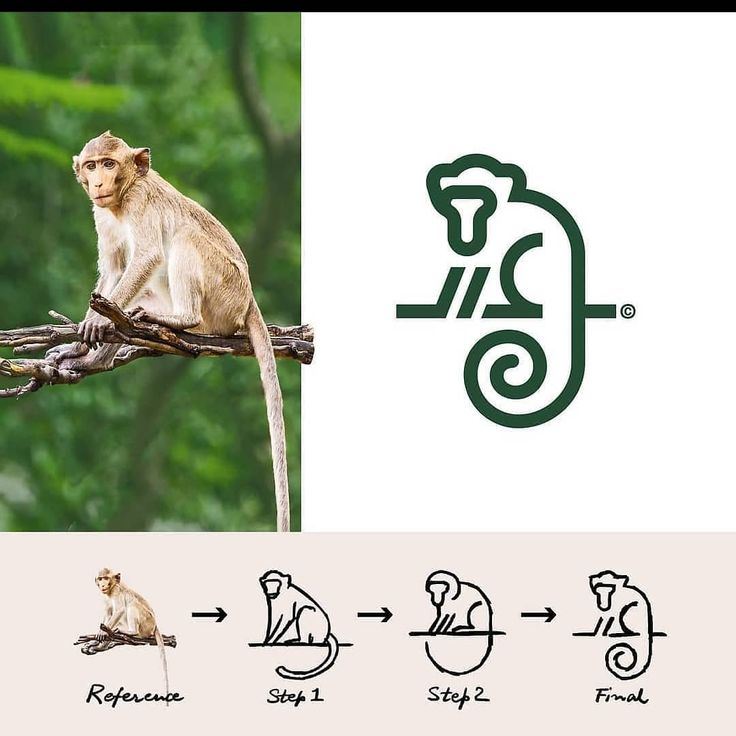 a monkey sitting on top of a tree branch next to an image of another monkey