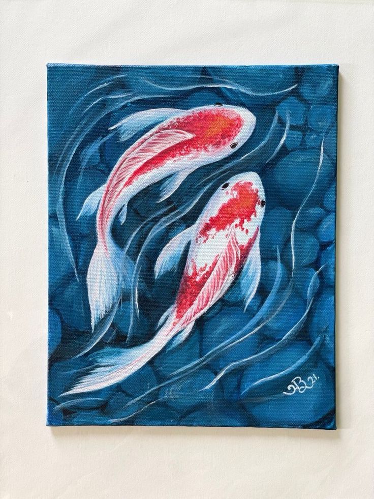 two red and white koi fish swimming in blue water