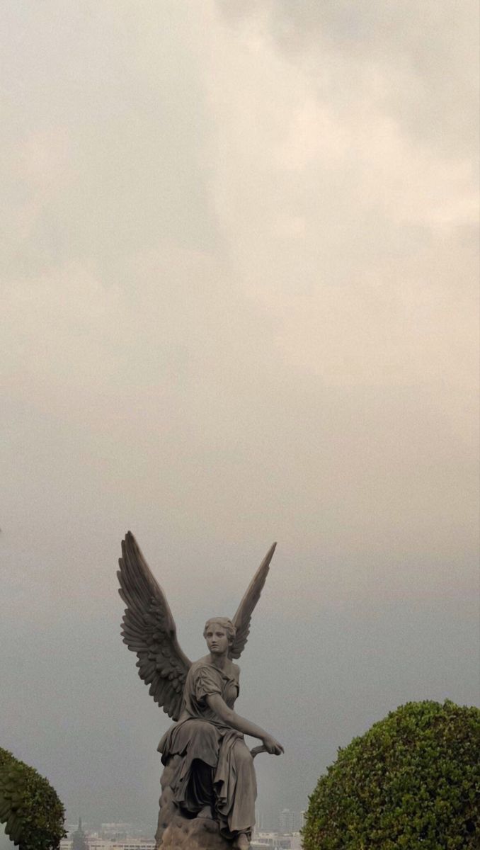 Aesthetic roses angel
#Aesthetic # City View Aesthetic, Statue Wallpaper, Aesthetic Angel, View Aesthetic, An Angel, City View, The City, Angel, Statue