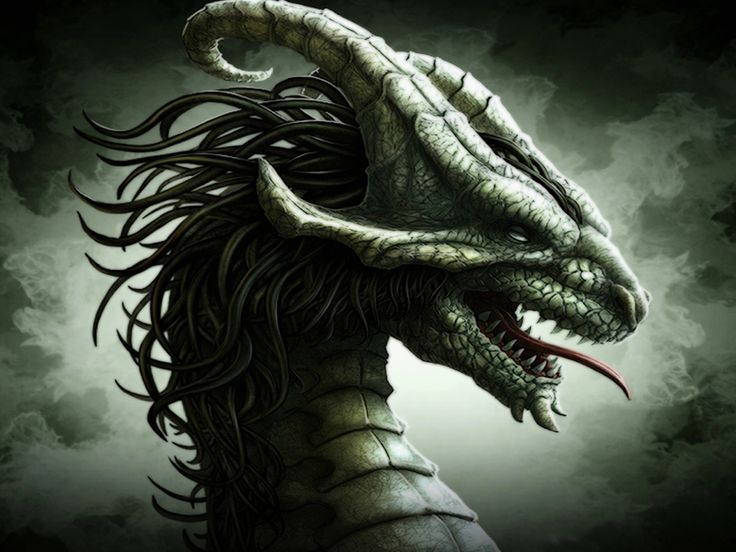 an image of a dragon with long hair on it's head and fangs in its mouth