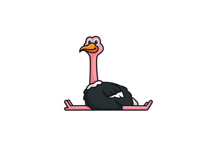 an ostrich is sitting on the ground