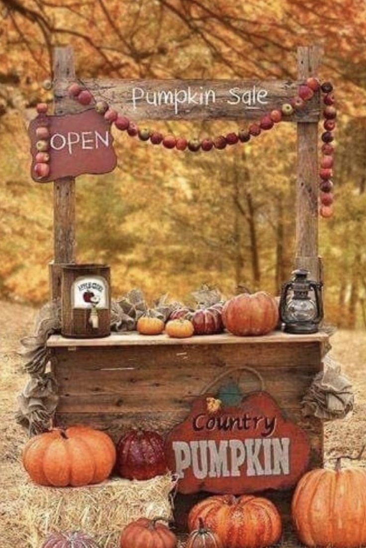 an old wooden stand with pumpkins on it and a sign that says country pumpkin sale