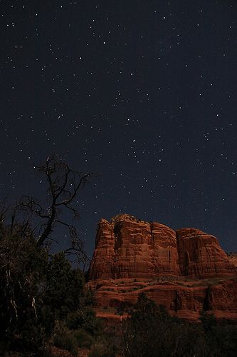 the night sky is full of stars above red rock formations and trees in the foreground