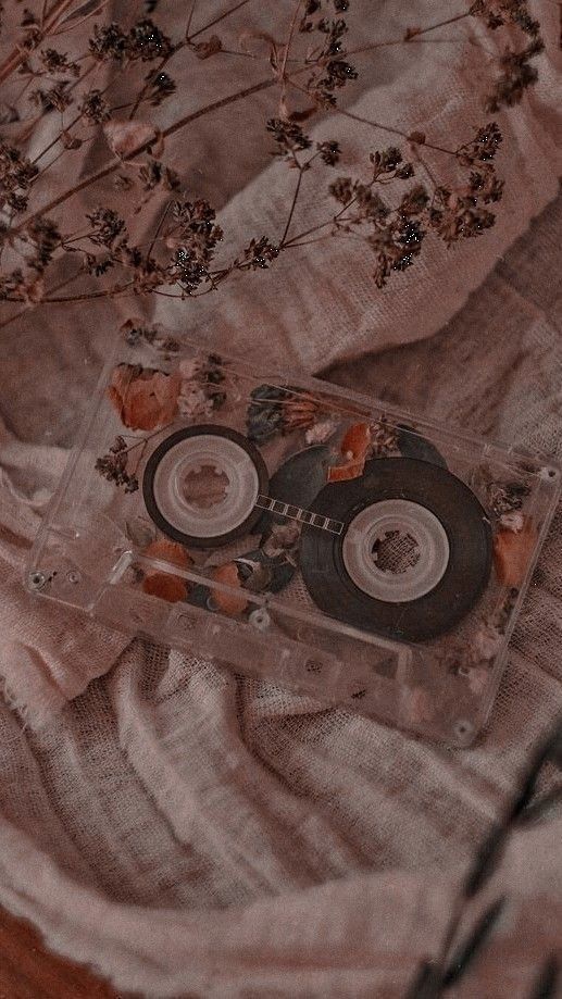 an old cd sitting on top of a piece of cloth next to some dead flowers