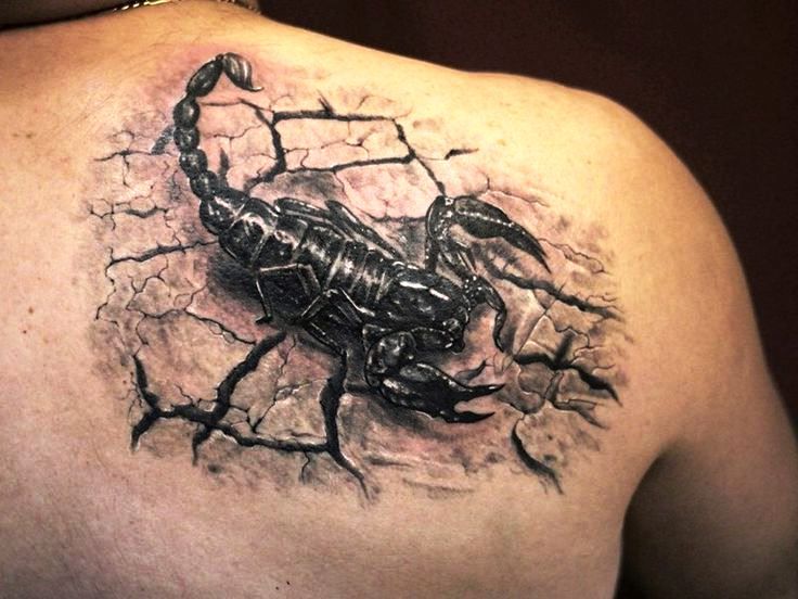 a scorpion tattoo on the back of a man's upper arm and shoulder,