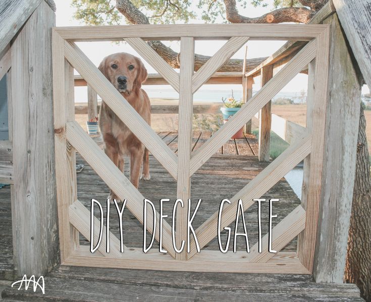 a dog is standing on a wooden dock with the words diy deck gate in front of it