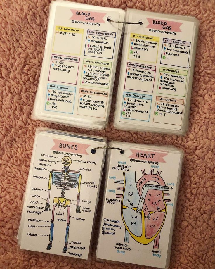 three cards showing the functions of the human body