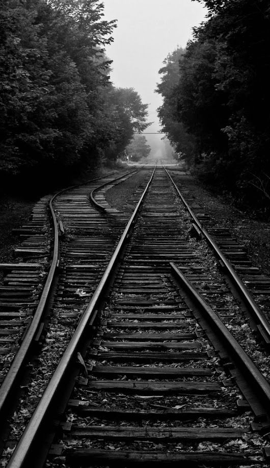 black and white photograph of train tracks in the woods