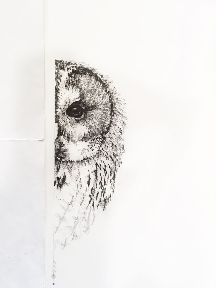 an owl's head is shown in black and white