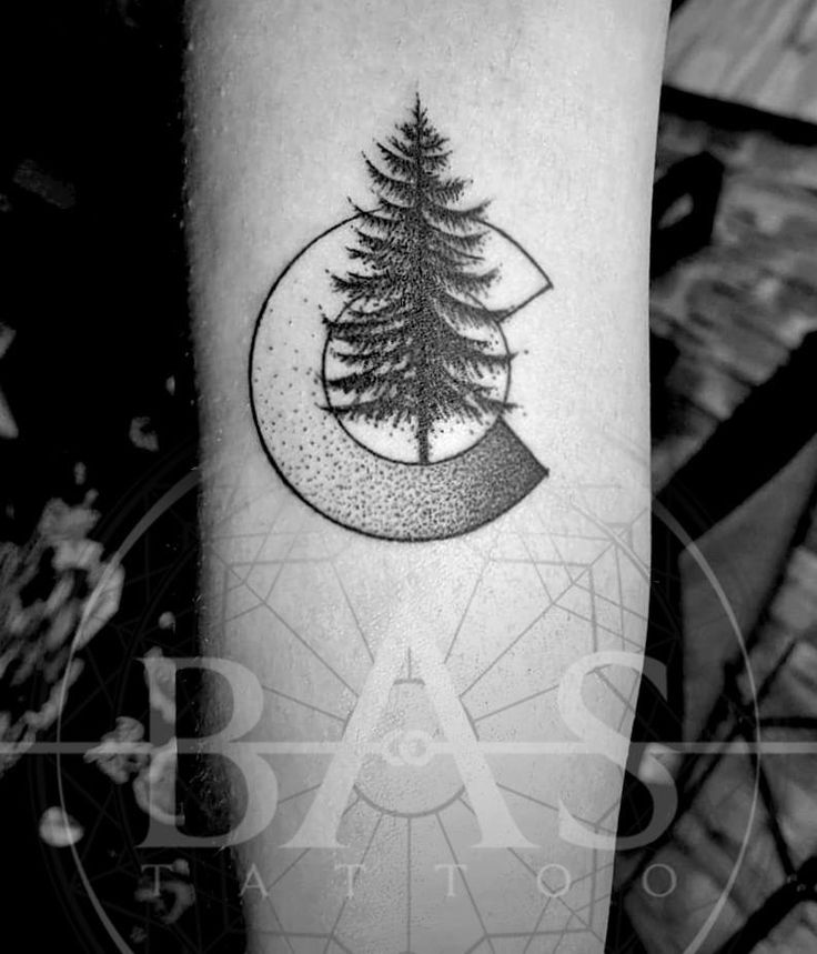 a small pine tree tattoo on the arm