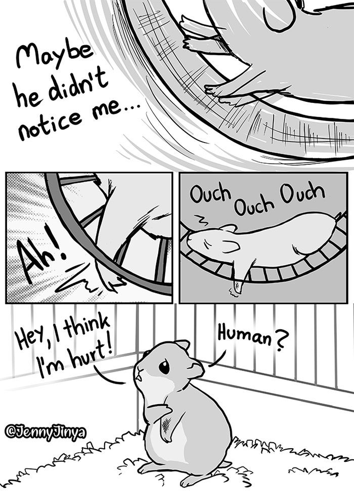 a comic strip with an image of a hamster