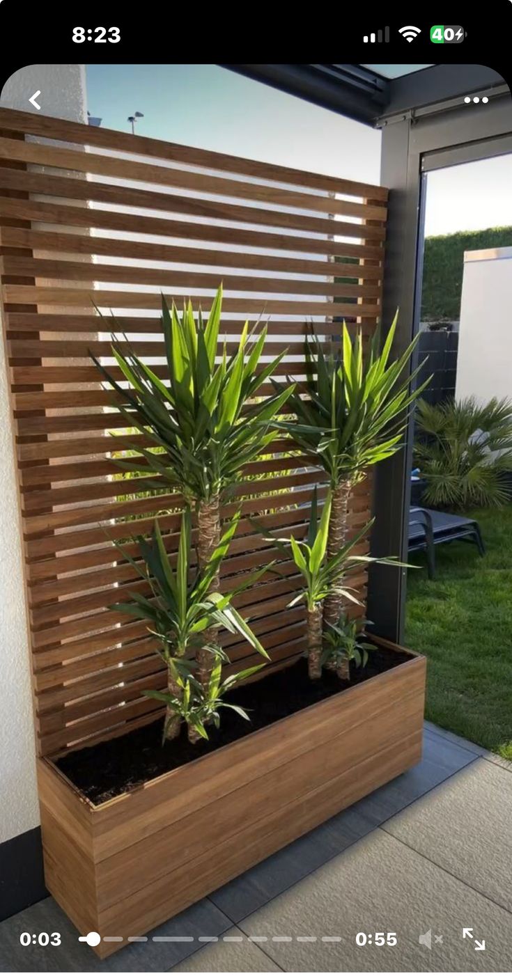 two plants are in a wooden planter