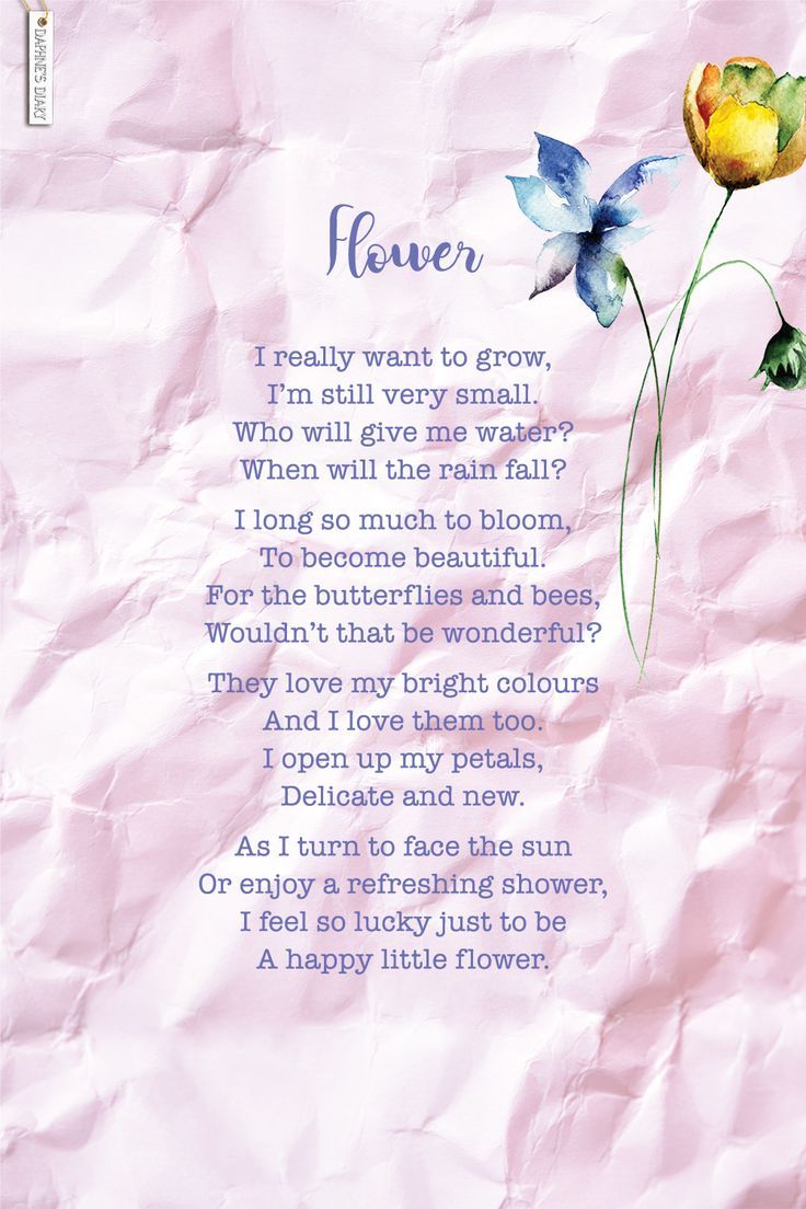 a poem written on pink paper with flowers