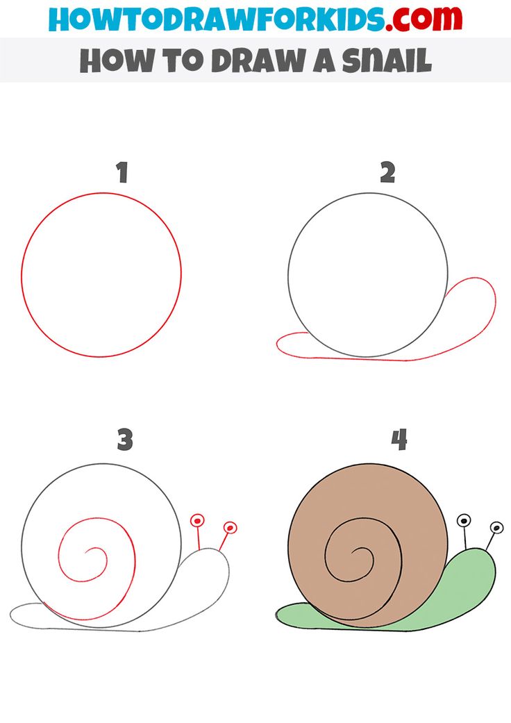 how to draw a snail for kids step by step drawing instructions and printable pictures