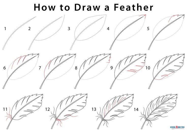 how to draw a feather step by step