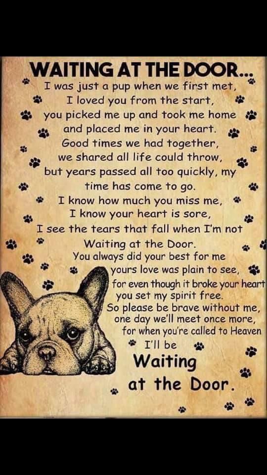 a dog's poem with the words waiting at the door