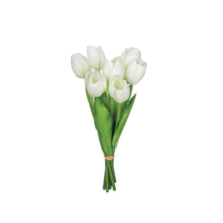 a bouquet of white tulips on a white background