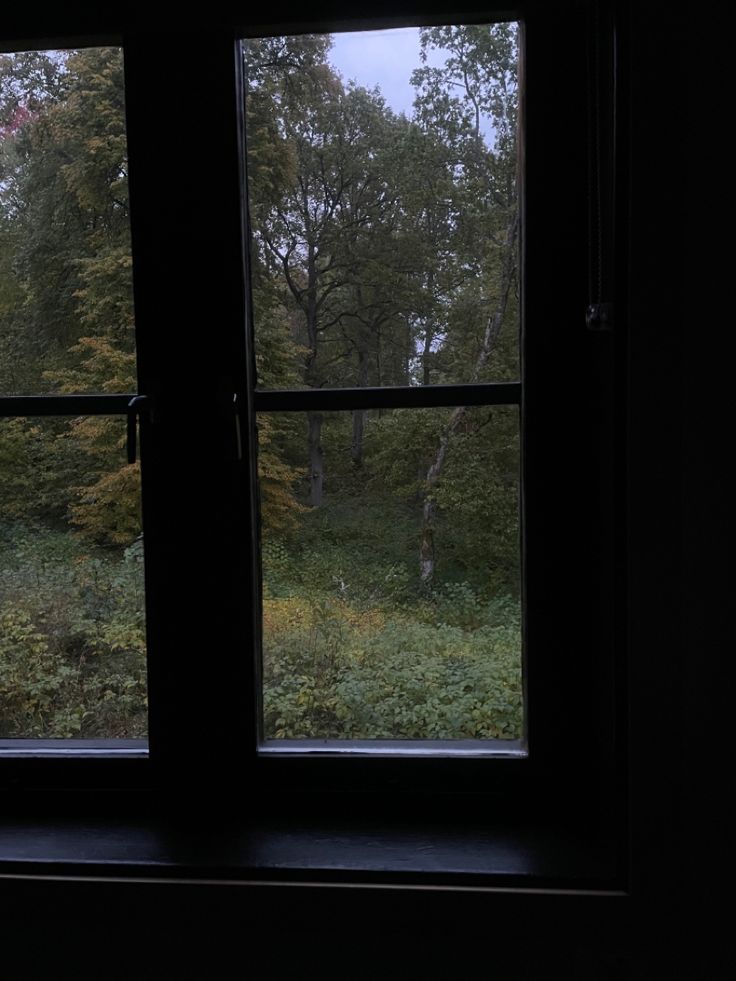 the view from an open window in a dark room with trees and bushes on either side