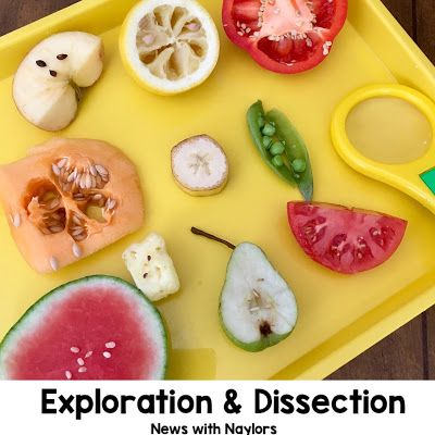 an assortment of fruits and vegetables on a yellow tray with the words explore & dissection news with naylors