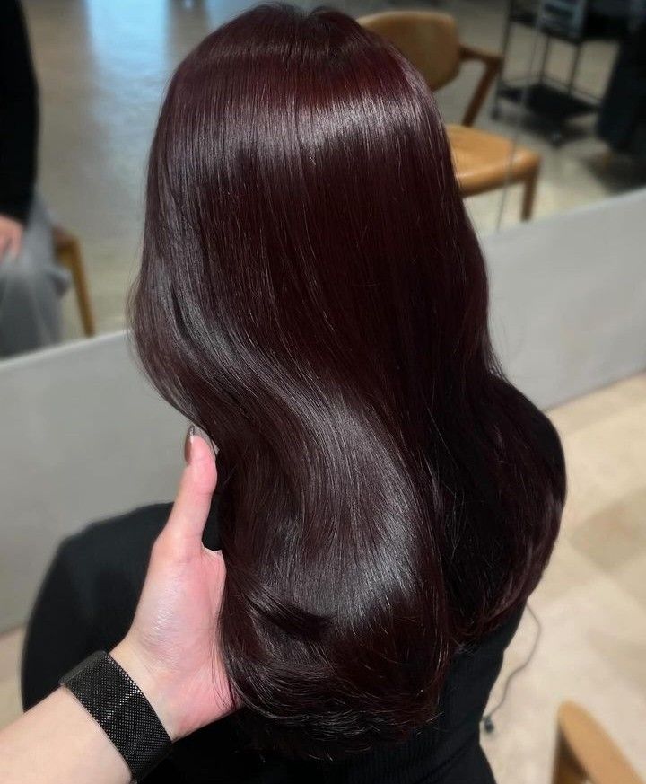 Very Dark Burgundy Hair, Dark Grape Hair Color, Dark Red Plum Hair, Black Redish Hair Dark Brown, Dark Burgundy Brown Hair Color, Dark Red Chocolate Hair, Deep Cherry Black Hair, Black Cherry Brown Hair, Deep Cherry Hair Color