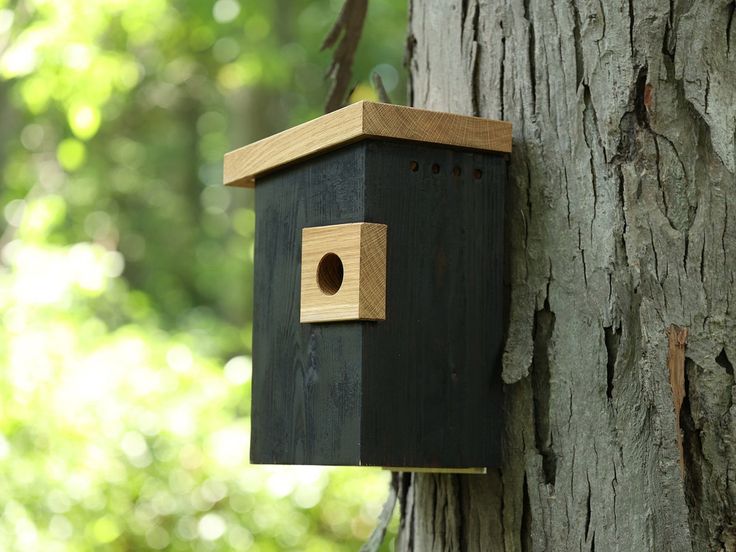 a bird house attached to the side of a tree