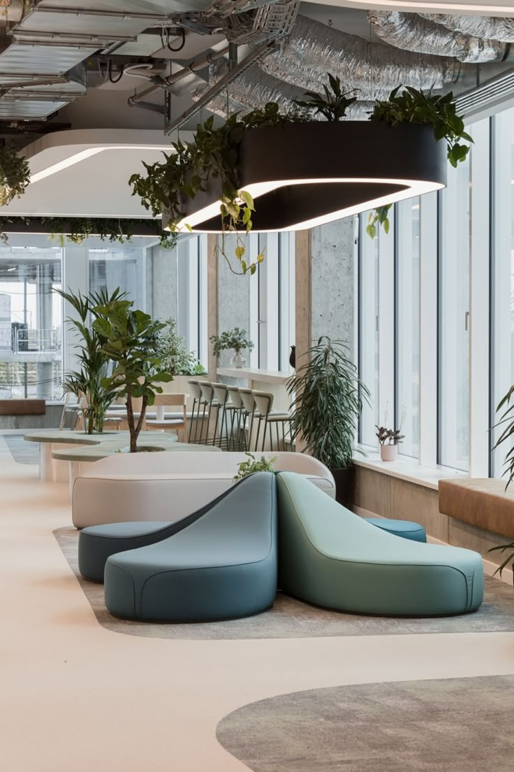 an office filled with lots of plants next to large windows and couches on the floor