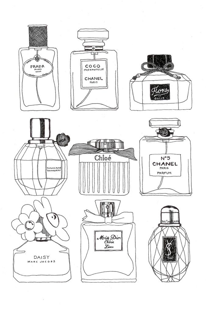 an image of different perfumes drawn by hand in black and white ink on paper