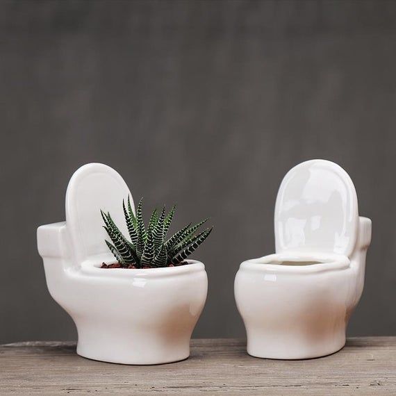 two white toilets with plants in them sitting on a wooden table next to each other