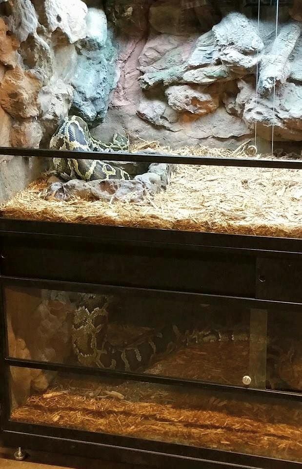 an aquarium with rocks and sand in it