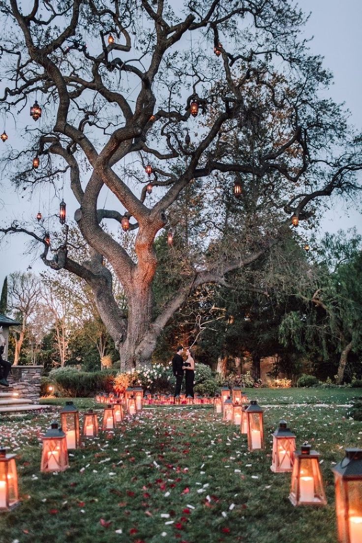 candles are lit in front of a large tree