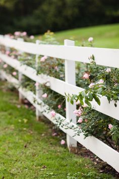 a white picket fence with pink flowers growing on the top and bottom, along side it