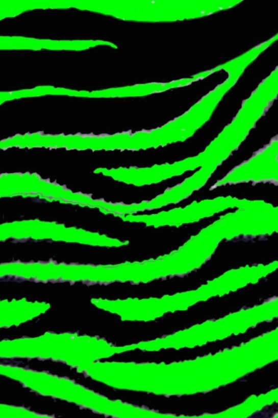 a green and black zebra print pattern