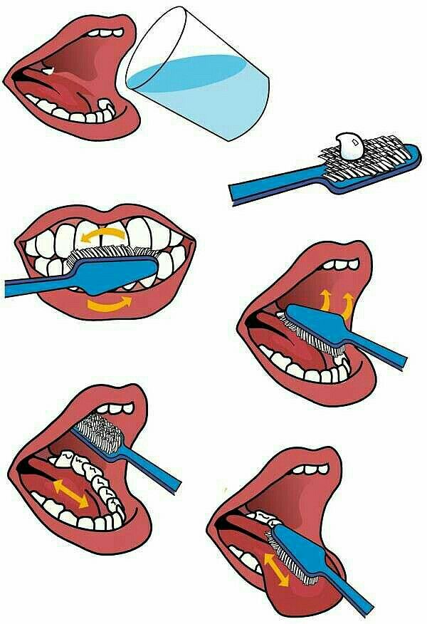 How To Brush Your Teeth, Dental Health Crafts, Sequencing Activities Kindergarten, Dental Health Activities, Hand Washing Poster, Teeth Brush, Body Parts Preschool, Brush Teeth, Sikat Gigi