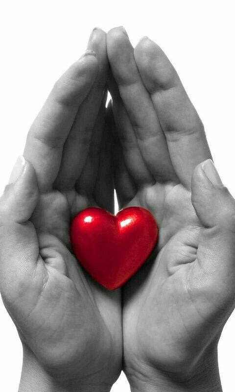 two hands holding a red heart in the middle of their palms, against a white background