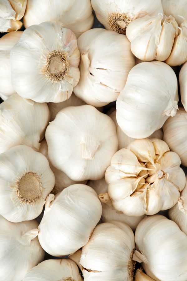 many garlic bulbs are piled up together