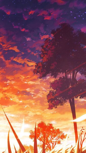 391800 sunset anime scenery night sky silhouette art 4k pc  Rare  Gallery HD Wallpapers