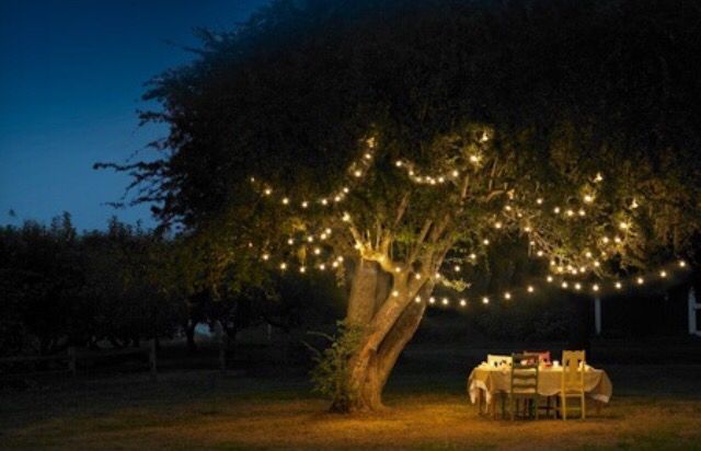 an outdoor table under a tree with lights on it