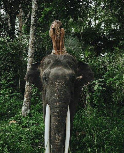 a woman sitting on top of an elephant in the jungle with trees and bushes behind her