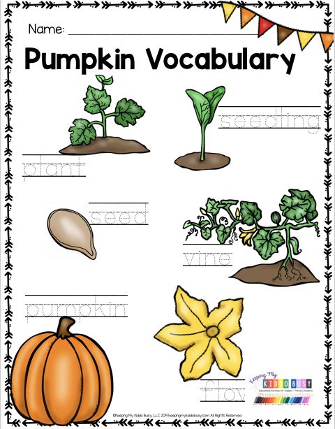 worksheet for beginning with pumpkin and plant life in the garden, including plants