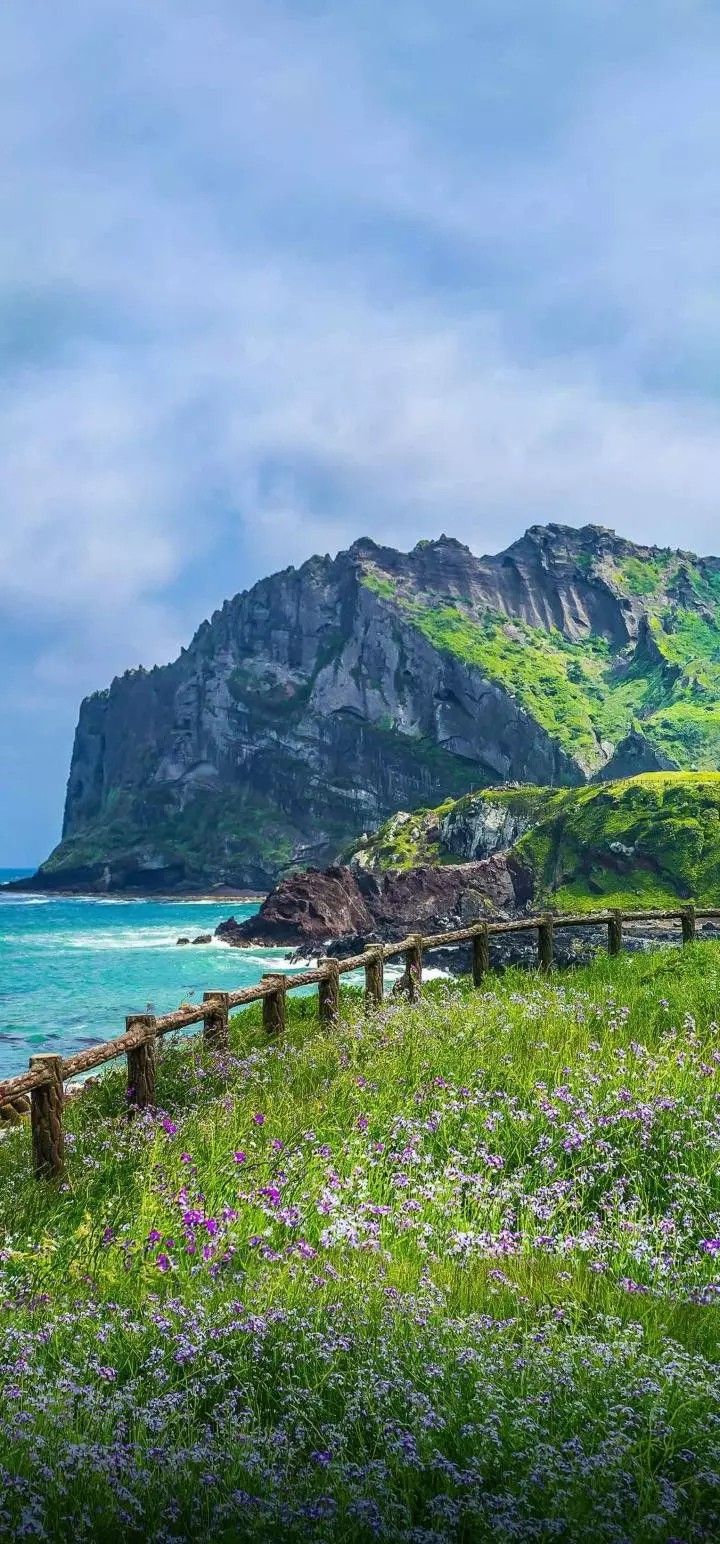 a grassy field with flowers on the side of it and a mountain in the background