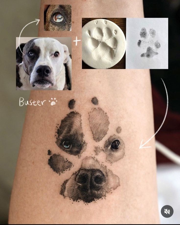 a dog's paw is shown on the arm with pictures and instructions to paint it