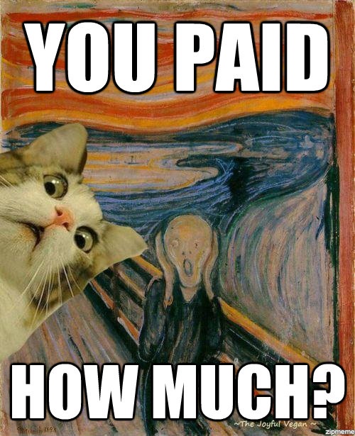 a cat is looking at an image with the caption, you paid how much?