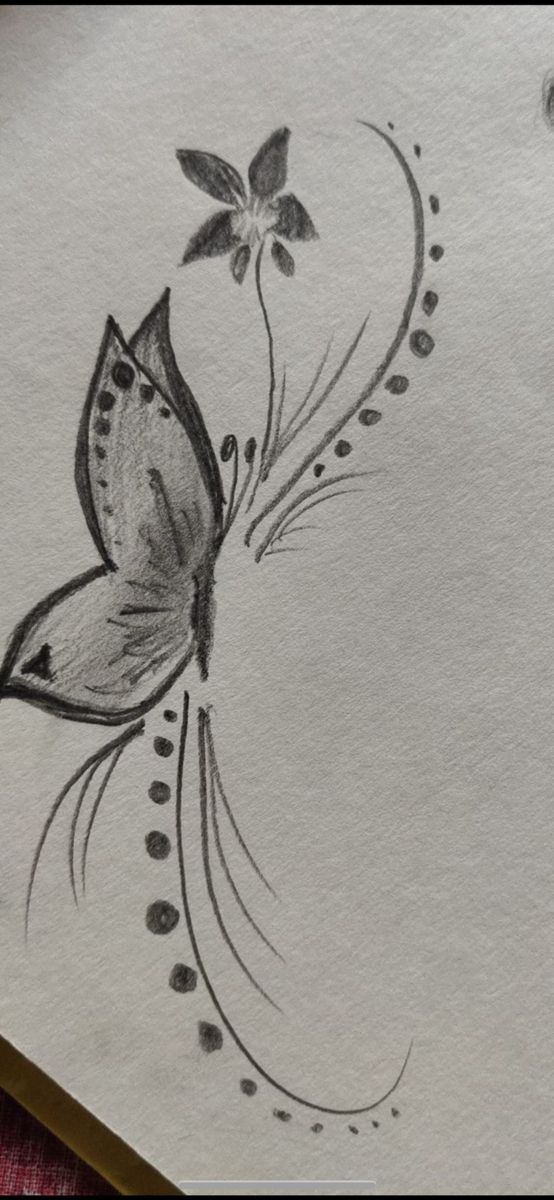 an ink drawing of a butterfly on paper