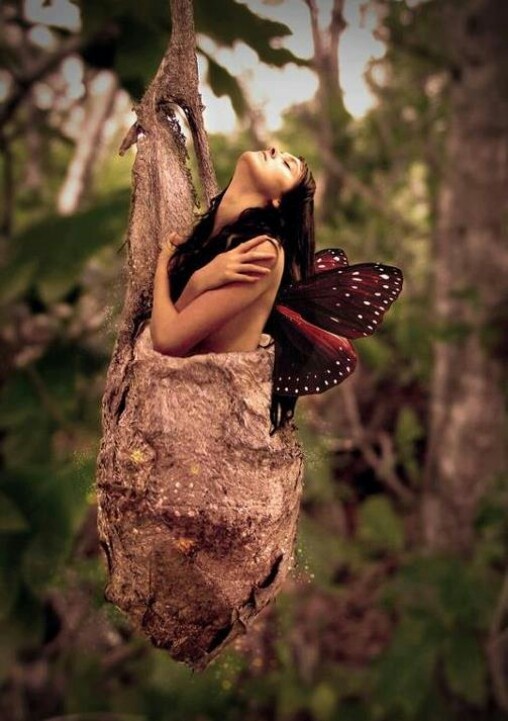 a woman in a tree with a butterfly on her shoulder and head hanging from the branch