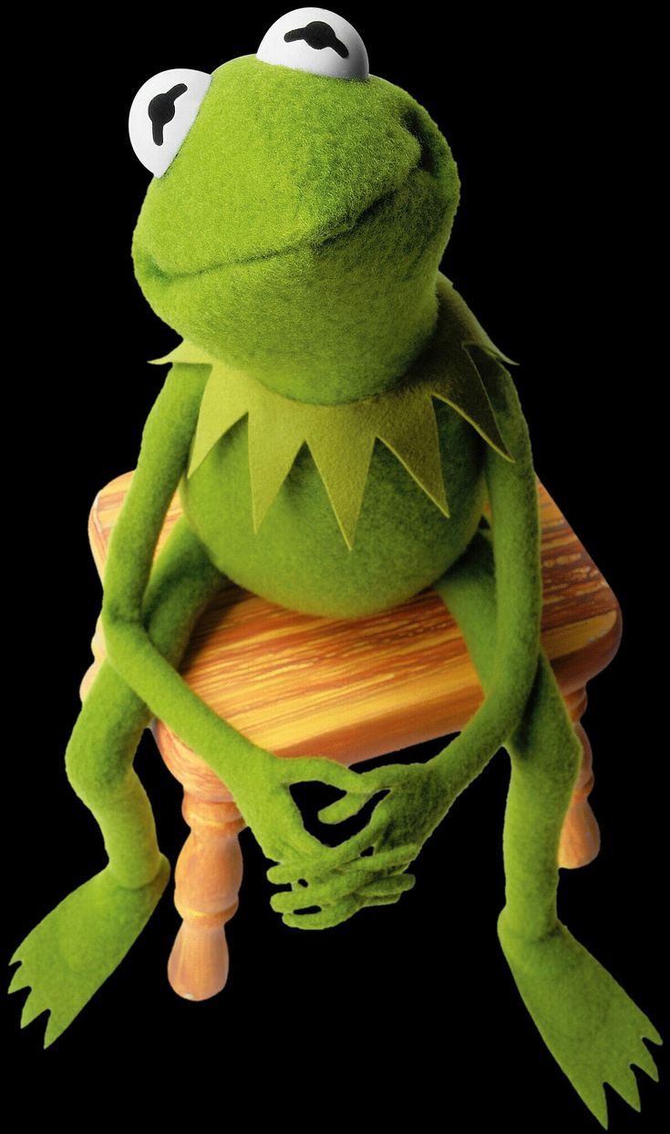 kermie the frog sitting on top of a piece of wood with caption