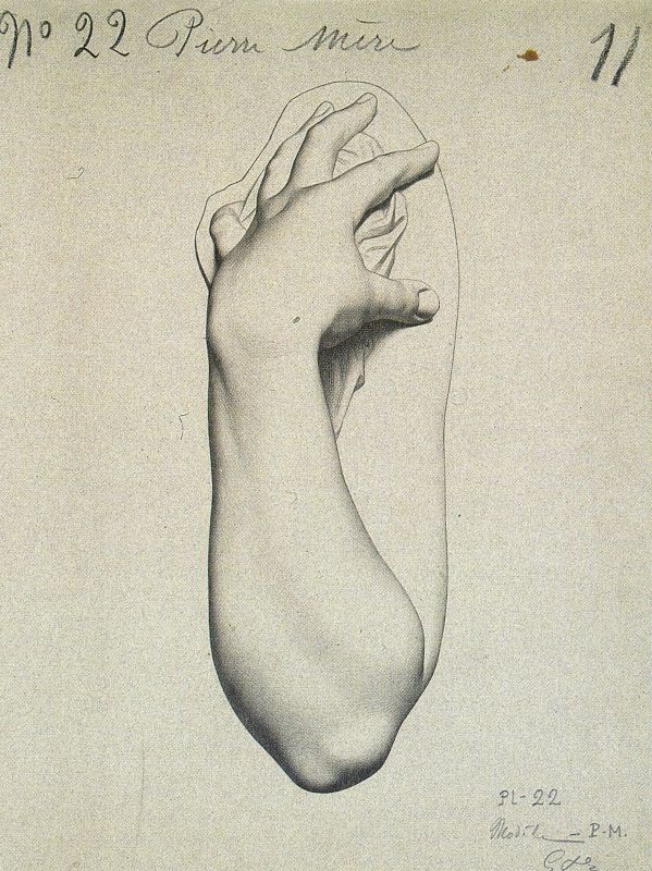 a drawing of a hand holding an object in it's right hand, with writing on the left side