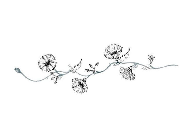 an artistic drawing of flowers on a white background