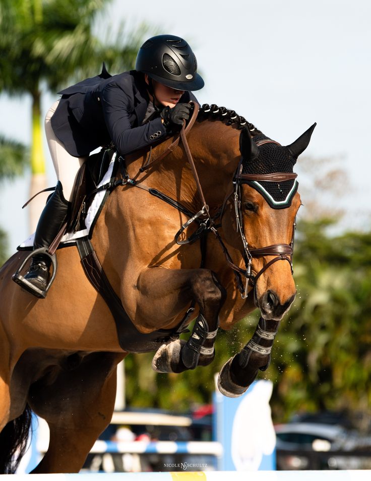 a person riding on the back of a brown horse jumping it over an obstacle with trees in the background