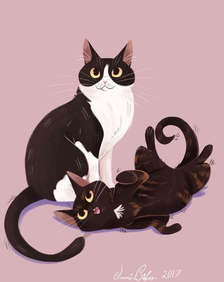 two cats sitting next to each other on a pink background